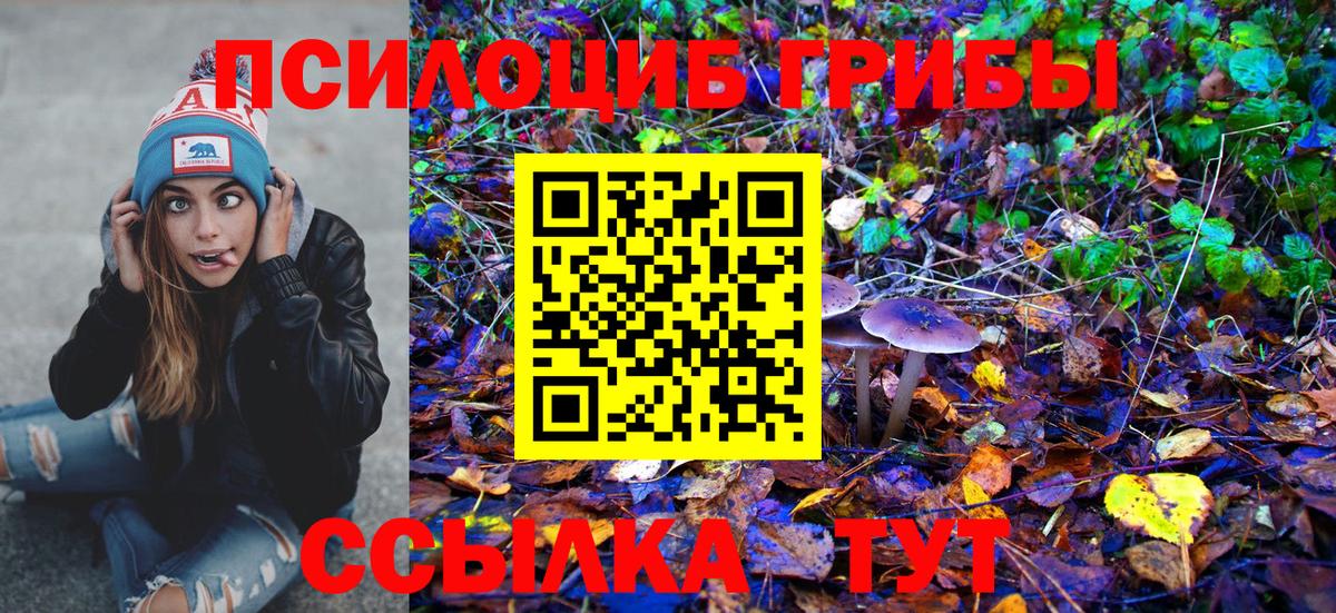 Новороссийск  Галлюциногенные грибы Magic Shrooms  Галлюциногенные грибы GOLDEN TEACHER  Вход с VPN 