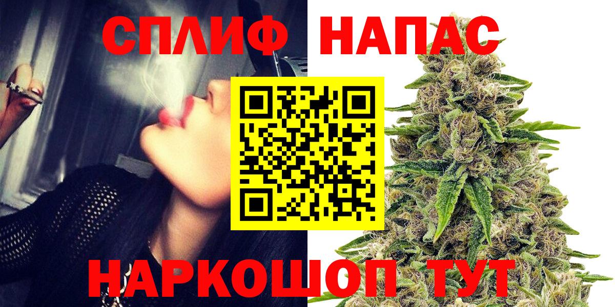 МАРИХУАНА конопля Новороссийск